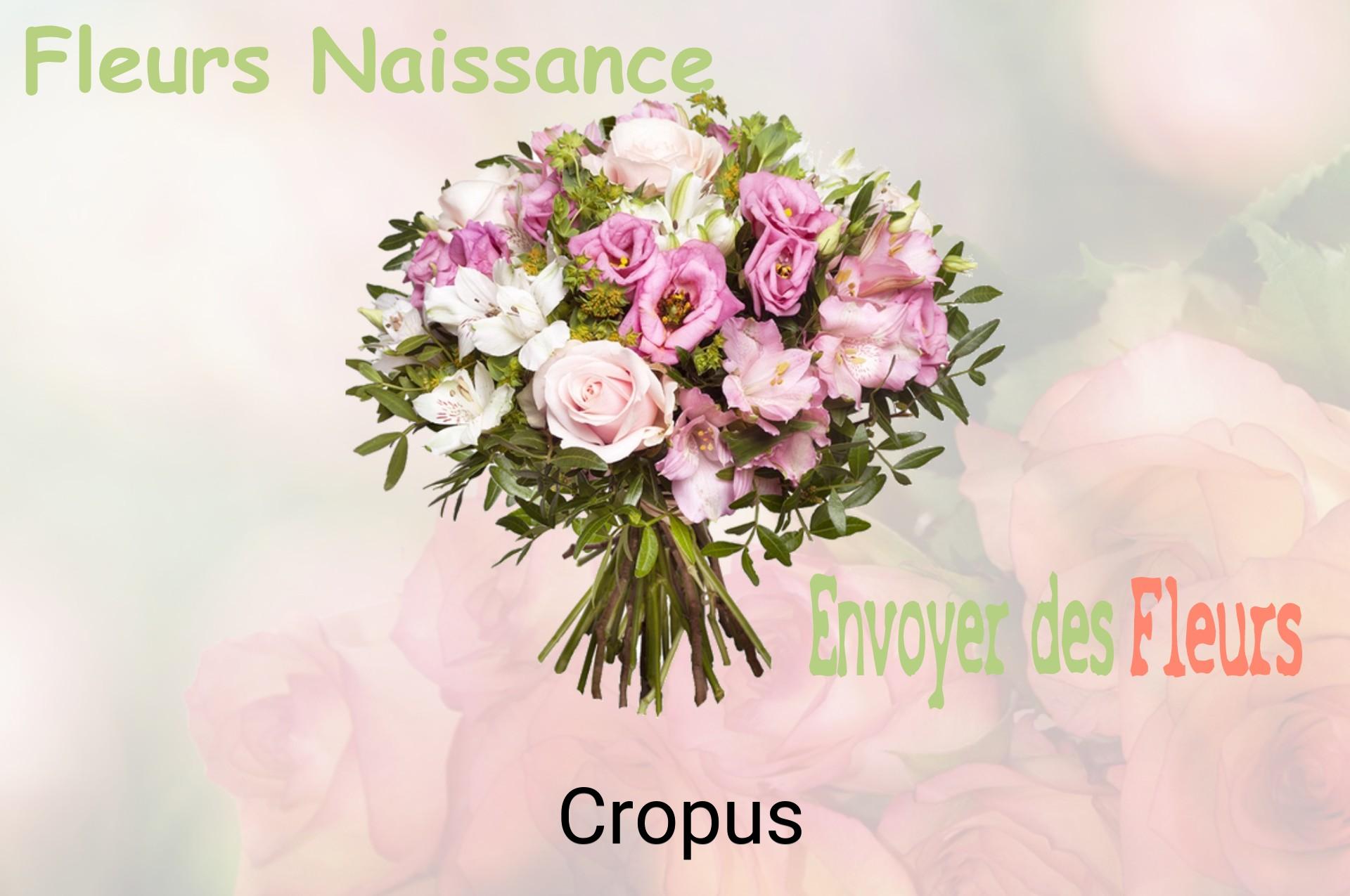 Bouquet de fleurs de naissance livré à Cropus