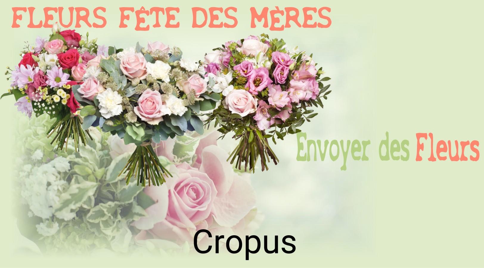 Bouquet de Fête des Mères livré à Cropus